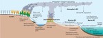The black carbon cycle and its role in the Earth system